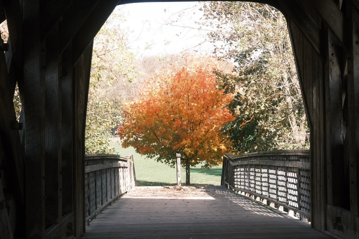 Wondering with Autumn 2025