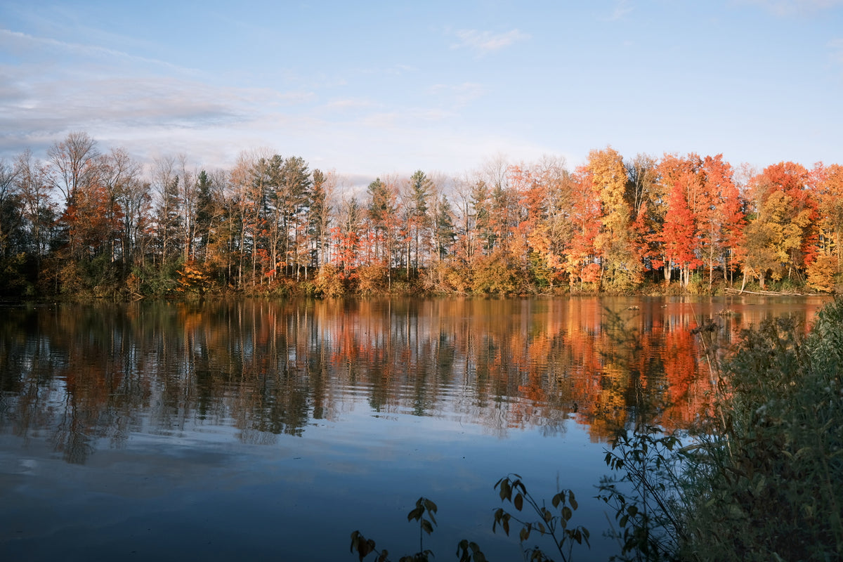 Wondering with Autumn 2025