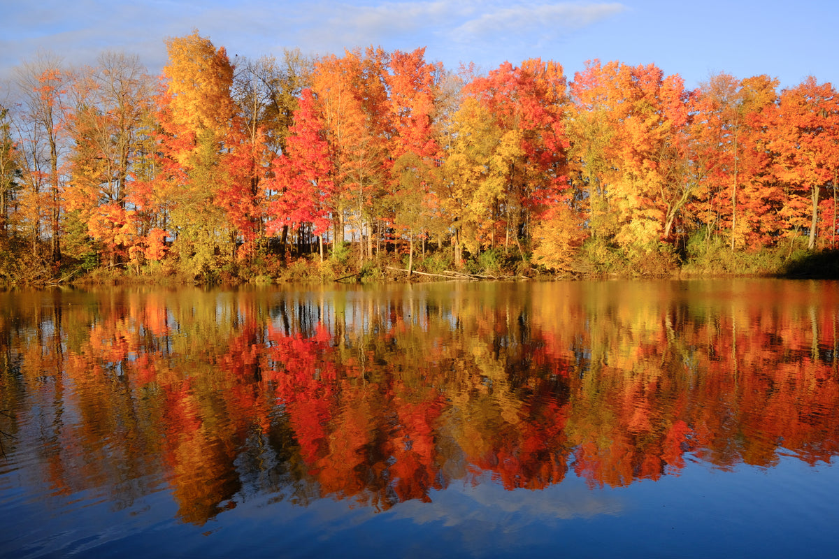 Wondering with Autumn 2025