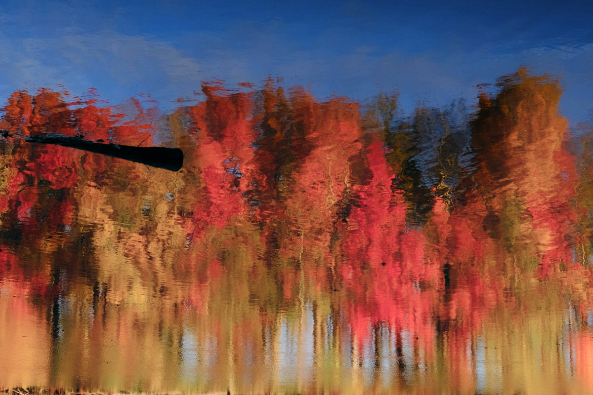 Wondering with Autumn 2025