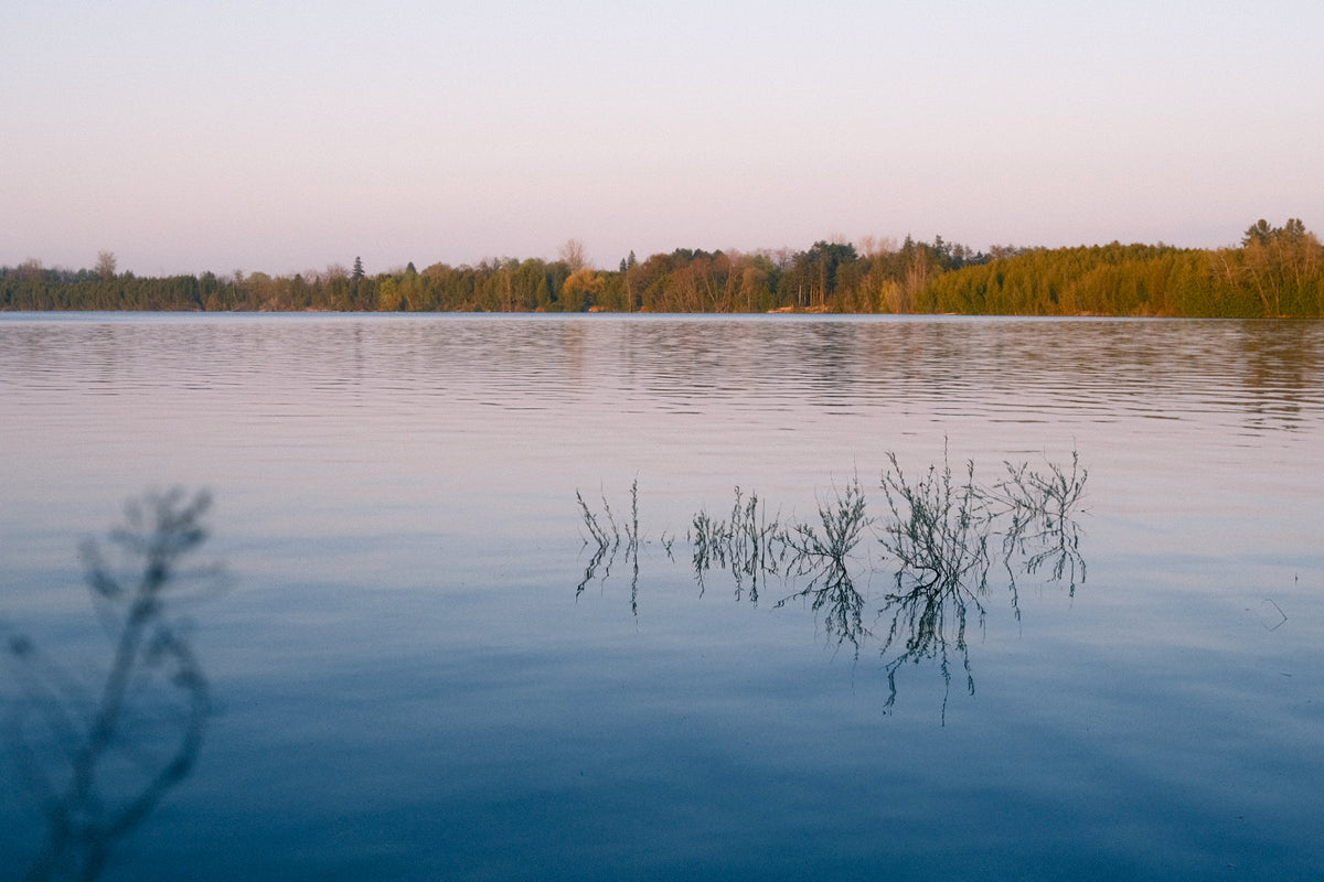 simple and serene Guelph Lake