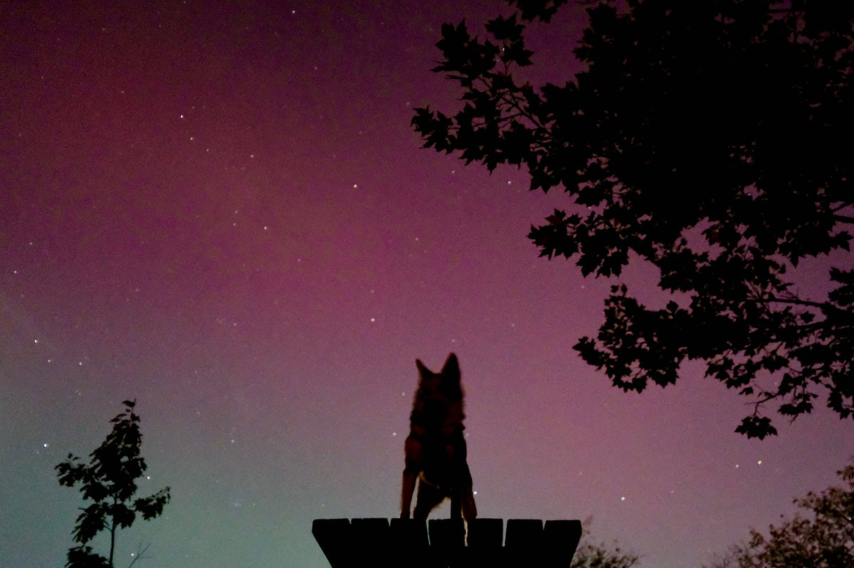 Gordie, may I have this dance with you under the northern lights? October 2024